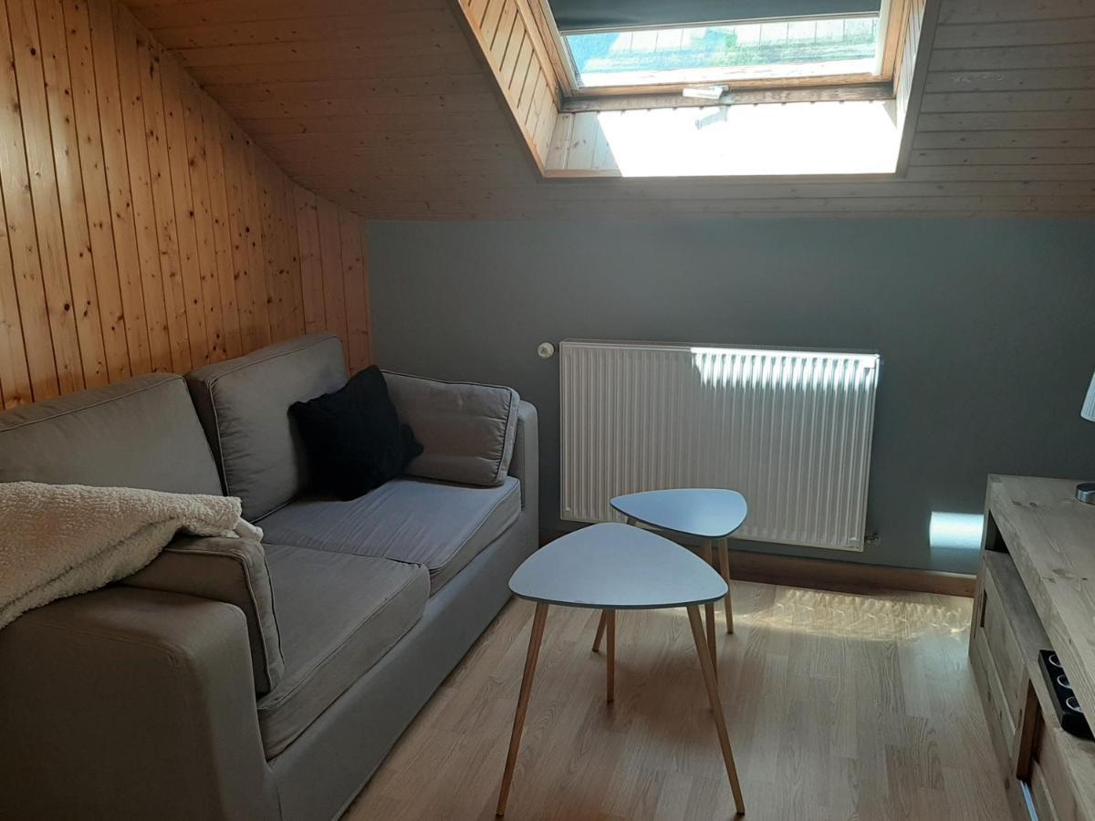Charmant Appartement 2-4 Personnes Entre Annecy Et Aravis Thones Luaran gambar