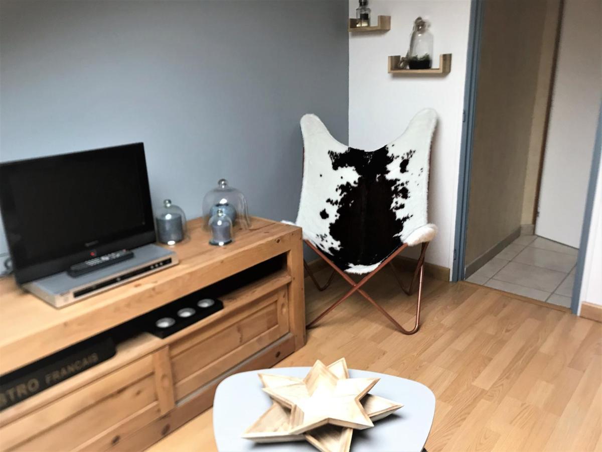 Charmant Appartement 2-4 Personnes Entre Annecy Et Aravis Thones Luaran gambar