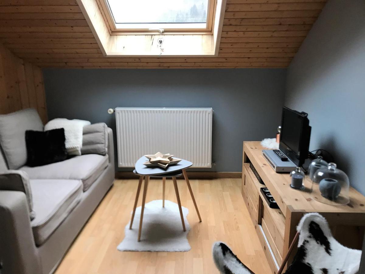 Charmant Appartement 2-4 Personnes Entre Annecy Et Aravis Thones Luaran gambar
