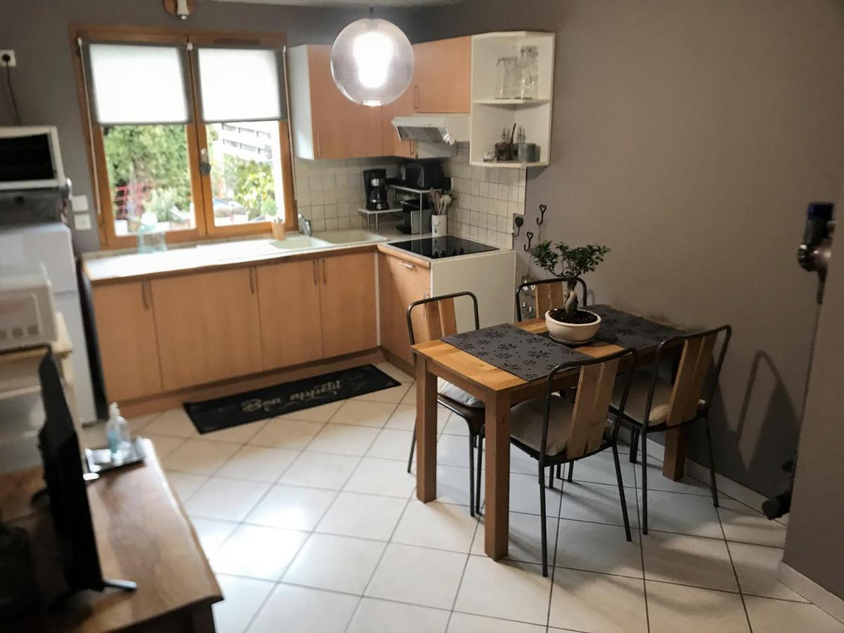 Charmant Appartement 2-4 Personnes Entre Annecy Et Aravis Thones Luaran gambar