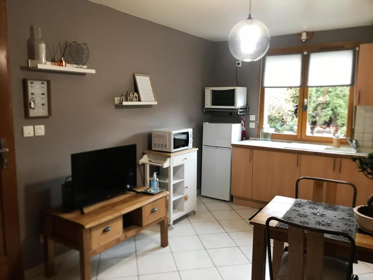 Charmant Appartement 2-4 Personnes Entre Annecy Et Aravis Thones Luaran gambar