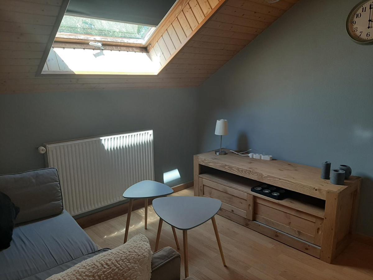 Charmant Appartement 2-4 Personnes Entre Annecy Et Aravis Thones Luaran gambar